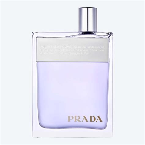 prada amber men fragrance notes|Prada amber perfume 30ml.